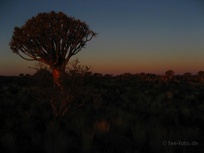 Ein letzter Lichtstrahl